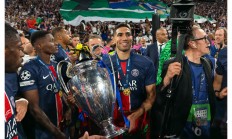 开云体育-法国队横扫奥地利队，张本智和扛起全队的简单介绍