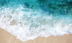 开云体育app-当莎草纸焚毁美第奇，本泽马与一场横跨七百年的文化越位