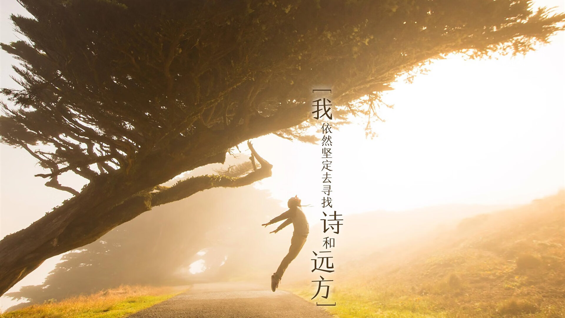 北欧神话破灭记，伊布关键先生导演阿森纳打穿丹麦防线